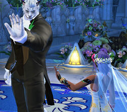 Wedding